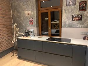 een keuken met een aanrecht en een aanrechtblad bij Édouard & Richard in Colmar +25 foto's