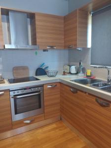 a kitchen with wooden cabinets and a stainless steel oven at Aris Apt in Karistos