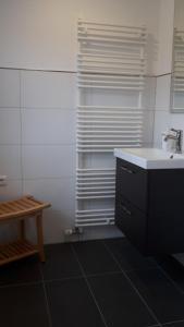 La salle de bains est pourvue d'un lavabo et d'une douche. dans l'établissement Ferienhof Wikner, à Bruchhausen-Vilsen