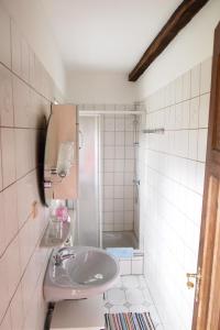 y baño con lavabo y ducha. en Ferienhof Wikner, en Bruchhausen-Vilsen
