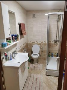 ein Bad mit einem WC, einem Waschbecken und einer Dusche in der Unterkunft Apartman Ristic in Požarevac