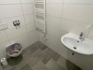 a bathroom with a sink and a toilet at Timeless: 4 Zimmer Apartment Ludwigsburg in Ludwigsburg