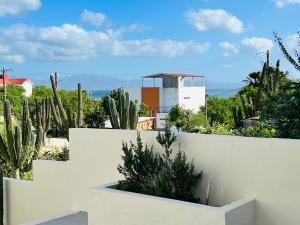 una cerca blanca con cactus y plantas en La Ventana Apartments #6, en La Ventana