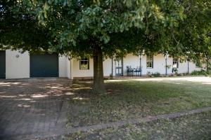 a tree in a yard in front of a building at Die Stal at Antioch in Franschhoek