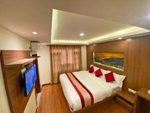 加德滿都的住宿－Hotel Dipjyoti，一间酒店客房,配有一张床和一台电视