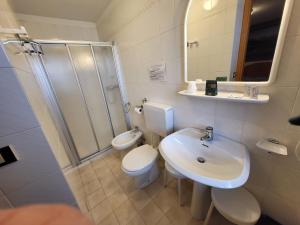 a bathroom with a toilet and a sink and a shower at Albergo Meuble Tarandan in Forni di Sopra
