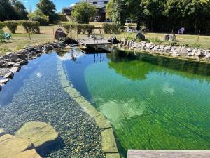 une piscine d'eau avec des algues vertes dans un parc dans l'établissement Nordbornholms Feriecenter, à Hasle