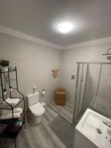 a bathroom with a shower and a toilet and a sink at Golden Breeze Holidays in Sagres