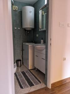 a small bathroom with a sink and a toilet at kuća za odmor Dolno in Sisak