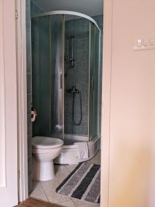 a bathroom with a shower and a toilet at kuća za odmor Dolno in Sisak