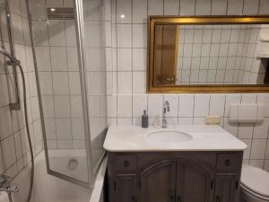 a bathroom with a sink and a shower and a mirror at Ferienwohnung Kleine Rütsche in Limburg an der Lahn +13 photos
