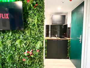 a kitchen with a green wall with plants at ~ Le Jungle ~ Petit cocon au porte du Futuroscope in Chasseneuil-du-Poitou