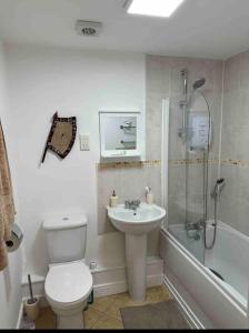 a bathroom with a toilet and a sink and a shower at 2 Bedrooms Luxurious Apartment in Luton in Luton