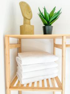 a wooden shelf with towels and a plant at Sunset Club - Nesselwang Chalets Nr 1 in Nesselwang