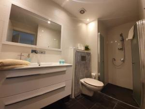 een badkamer met een toilet, een wastafel en een douche bij Harav Kuk Royal Suites - Alefimmoed in Jeruzalem
