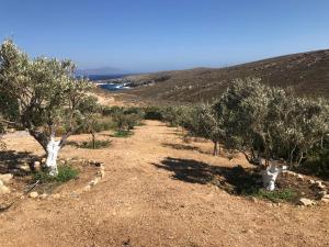 Gallery image of Traditional Cycladic Stone House in Serifos Chora