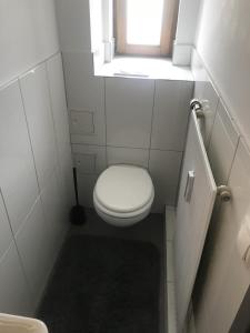een kleine badkamer met een toilet en een raam bij Mimalou Apartment in Gößnitz in Gößnitz
