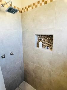 baño con ducha y chimenea en La Ventana Apartments Carambullo #8, en La Ventana
