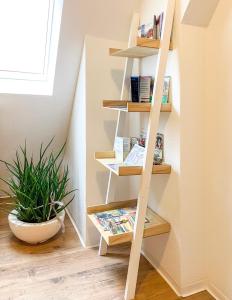 a ladder shelf in a room with a plant at FeWoMaurer WG1 Dachgeschoss in Altendorf