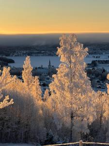 a group of snow covered trees with a city in the background at Siljansnäs Stugby & Resort in Siljansnäs