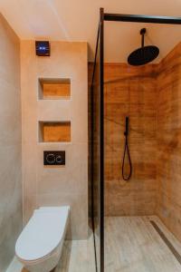a bathroom with a toilet and a glass shower at The Owl's Nest 2 in Velingrad