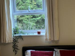 ein Fenster in einem Zimmer mit Sofa und Pflanze in der Unterkunft Spacious 2BR Flat with Sofa-Bed in Central Reading in Reading