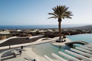 阿索马达César Lanzarote Luxury Boutique Hotel - Adults Only的一座大型游泳池,上面有棕榈树