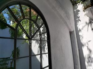 una ventana con un reflejo de un árbol en Spacious 4 Bedroom House en Leamington Spa