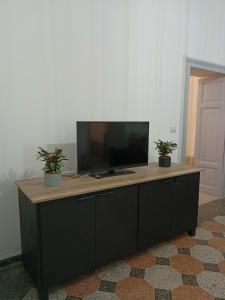 une télévision au-dessus d'une armoire avec deux plantes en pot dans l'établissement Rome - Termini House, à Rome