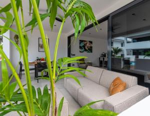 - un salon avec un canapé et des plantes dans l'établissement Palm Suite - Newly constructed poolside apartment just minutes from the beach, à Jan Thiel