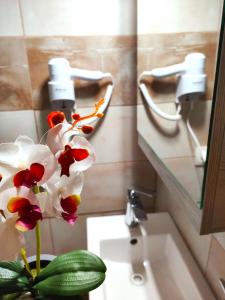 uma casa de banho com um lavatório branco e uma flor em Zika's House em Kanálion