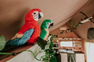 two stuffed parrots are sitting on a shelf at Kampari in Delfstrahuizen