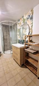 a bathroom with a shower and a sink at Gîtes de l'AKWABA in Buzet-sur-Baïse