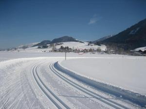 Haus Birgit v zime