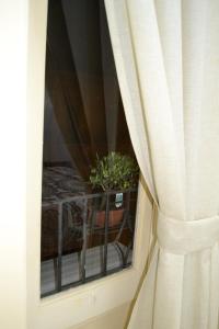 ein Fenster mit einer Pflanze in einem Topf auf einem Tisch in der Unterkunft B&B Paolo e Mariella in Palermo