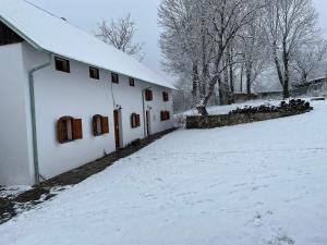 Medieval Cottage Šumava v zimě