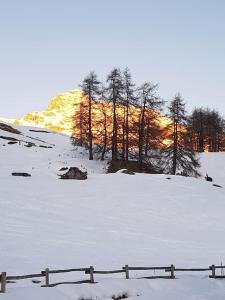 a snow covered field with trees and a fence at Alloggio Kenne, a 200m dagli impianti Monterosaski in Champoluc