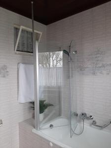 施泰爾的住宿－Ferienwohnung Josef，带淋浴和浴缸的浴室
