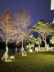 平和村的住宿－聽見蝸牛民宿，一群树木在公园里过夜