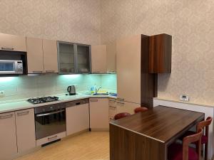 Kuhinja oz. manjša kuhinja v nastanitvi Apartment Sadova Karlovy Vary