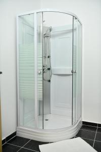 a shower with a glass enclosure in a bathroom at Apartmani swiss Gold in Priboj