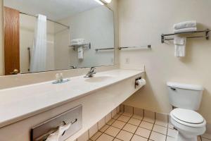 a bathroom with a sink and a toilet and a mirror at Quality Inn & Suites South in Obetz