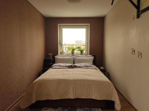 - une chambre avec un grand lit et une fenêtre dans l'établissement 3M Bridge apartment SELF CHECK-IN, à Kaunas