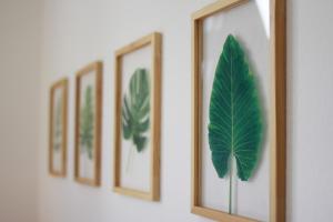 una fila de estampados enmarcados de plantas en una pared en Ferienwohnung 3 ANNA IFF, en Würzburg