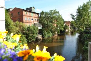 a view of a river with flowers in the foreground at Ferienwohnung Luxusdomizil Rathausblick in Otterndorf