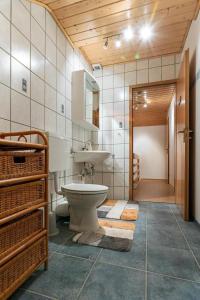 La salle de bains est pourvue de toilettes et d'un lavabo. dans l'établissement Ferienwohnung Lerchenweg, à Titmaringhausen