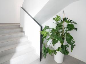 une plante dans un vase blanc à côté d'un escalier dans l'établissement Habitación en Playa Malvarrosa con baño privado -No AC-, à Valence