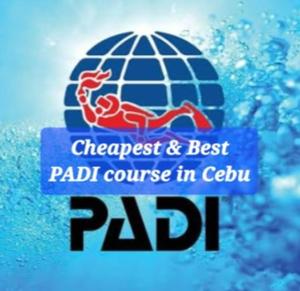 a logo for ajad course in cebu with a water splash at Nirvana Bamboo & Dive resort in Moalboal