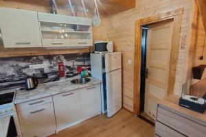 eine Küche mit weißen Schränken und einem Kühlschrank in der Unterkunft Tiny Treperka in Semily
