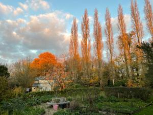 un jardín con árboles, un banco y una casa en The Old Post Office, Hilton, en Huntingdon